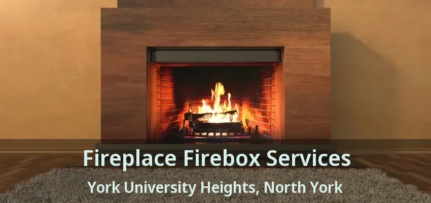 Fireplace Firebox Services York University Heights, North York - ON