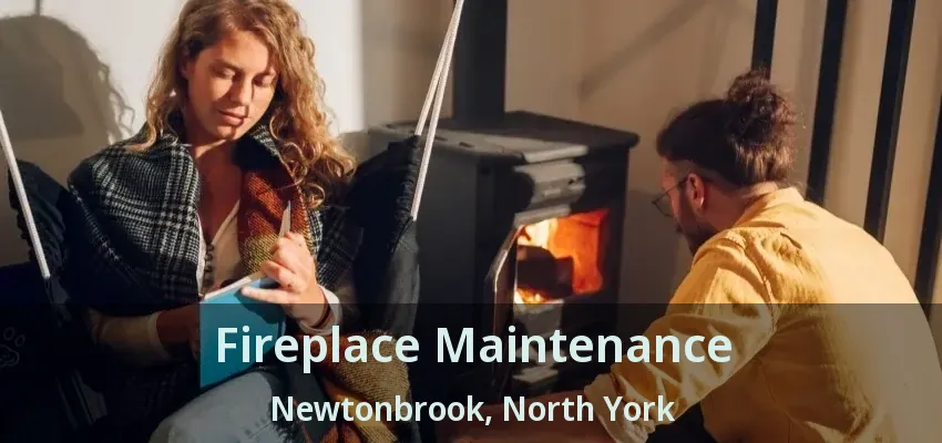 Fireplace Maintenance Newtonbrook, North York - ON