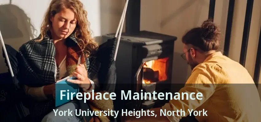 Fireplace Maintenance York University Heights, North York - ON