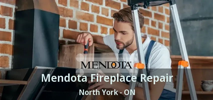 Mendota Fireplace Repair North York - ON
