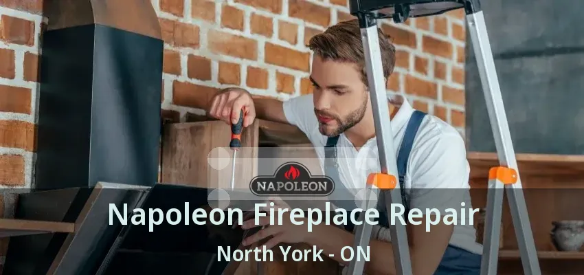 Napoleon Fireplace Repair North York - ON Napoleon Fireplace Repair North York - ON