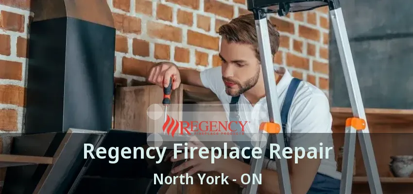 Regency Fireplace Repair North York - ON