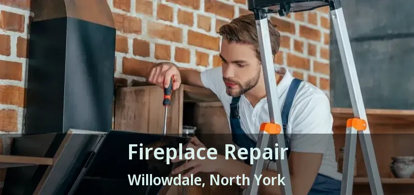 Fireplace Repair Willowdale, North York - ON