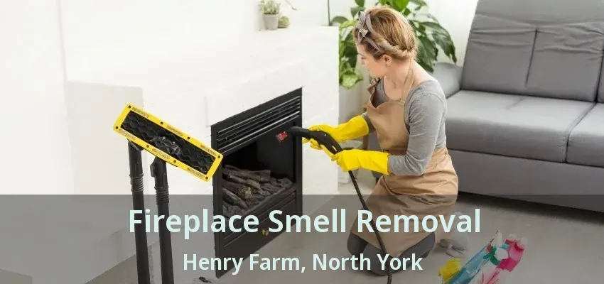 Fireplace Smell Removal Henry Farm, North York - ON