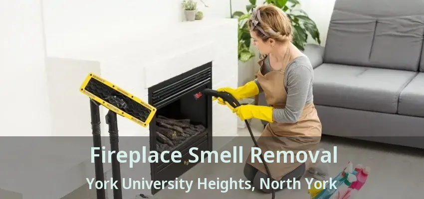 Fireplace Smell Removal York University Heights, North York - ON