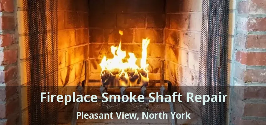 Fireplace Smoke Shaft Repair Pleasant View, North York - ON