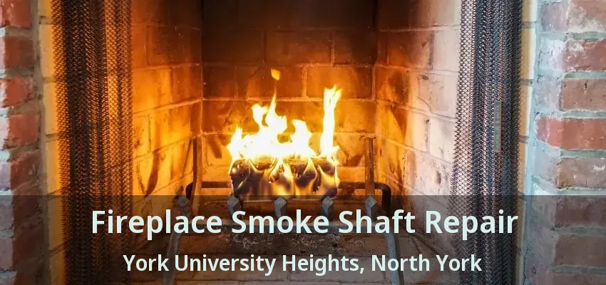 Fireplace Smoke Shaft Repair York University Heights, North York - ON