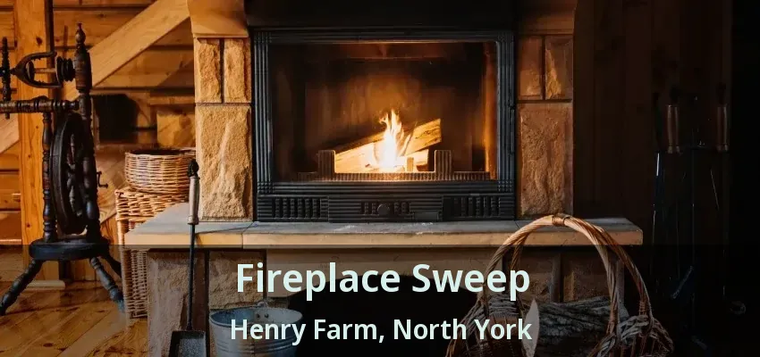 Fireplace Sweep Henry Farm, North York - ON