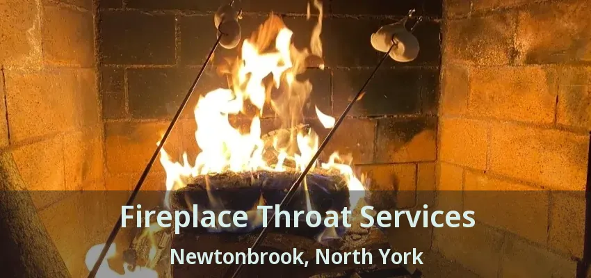 Fireplace Throat Services Newtonbrook, North York - ON
