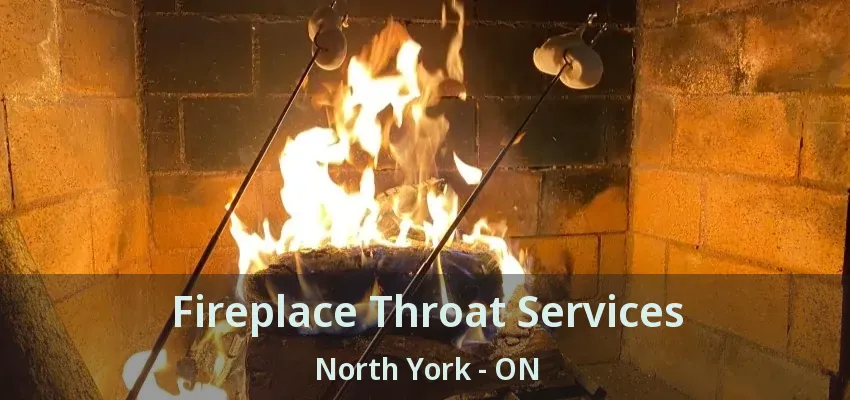 Fireplace Throat Services North York - ON
