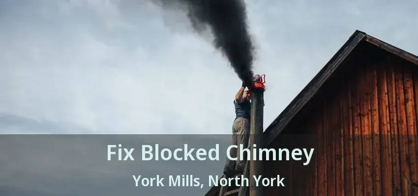 Fix Blocked Chimney York Mills, North York - ON