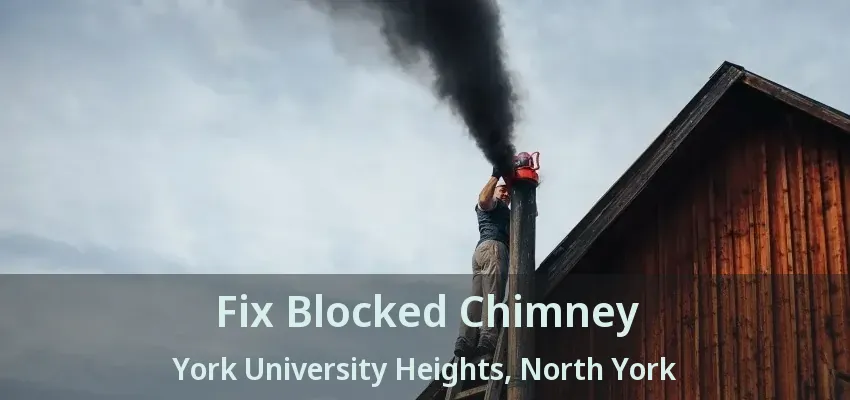 Fix Blocked Chimney York University Heights, North York - ON