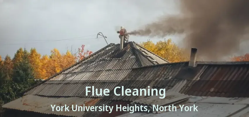 Flue Cleaning York University Heights, North York - ON