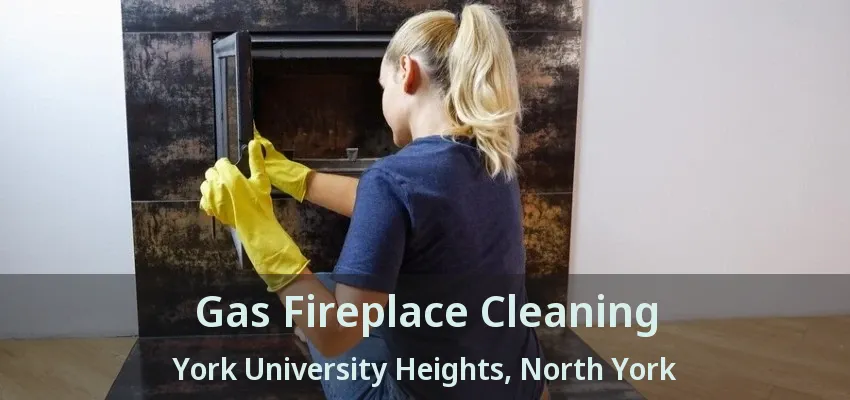 Gas Fireplace Cleaning York University Heights, North York - ON