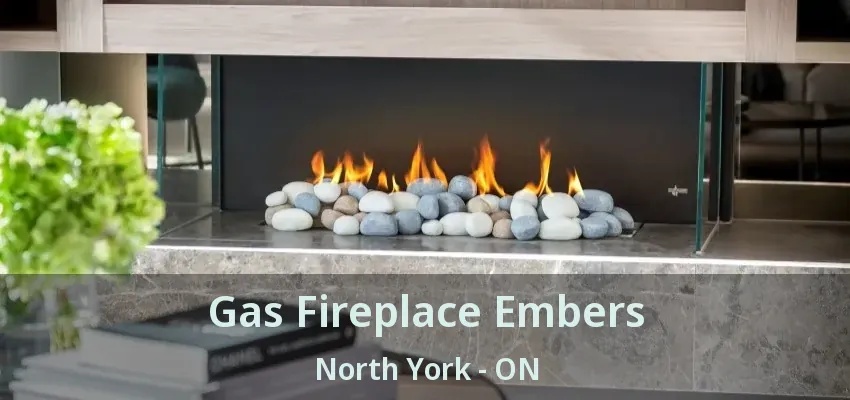 Gas Fireplace Embers North York - ON