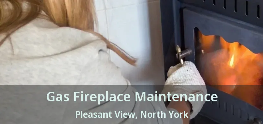 Gas Fireplace Maintenance Pleasant View, North York - ON