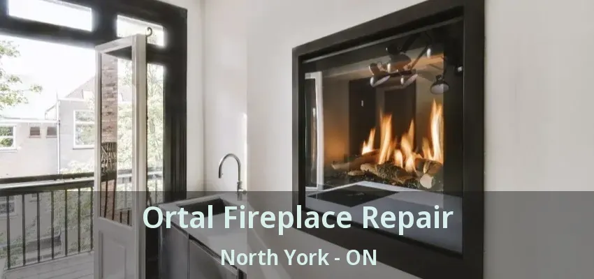 Ortal Fireplace Repair North York - ON