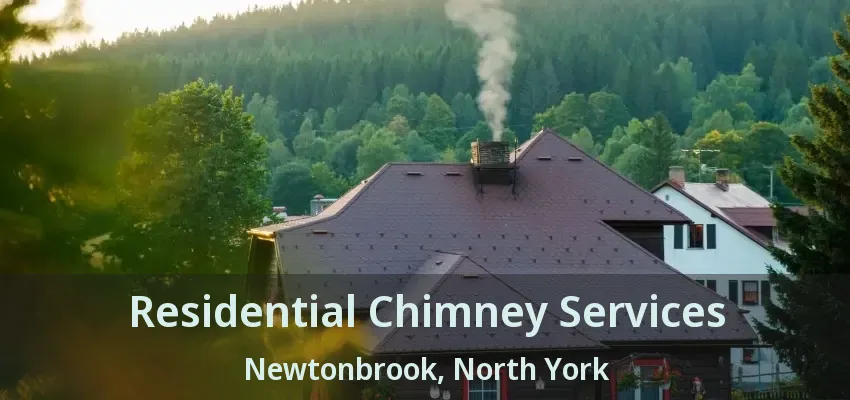 Residential Chimney Services Newtonbrook, North York - ON