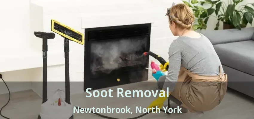 Soot Removal Newtonbrook, North York - ON