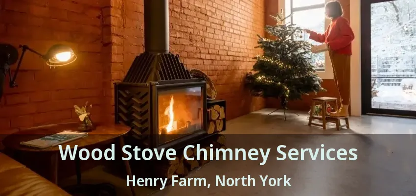 Wood Stove Chimney Services Henry Farm, North York - ON