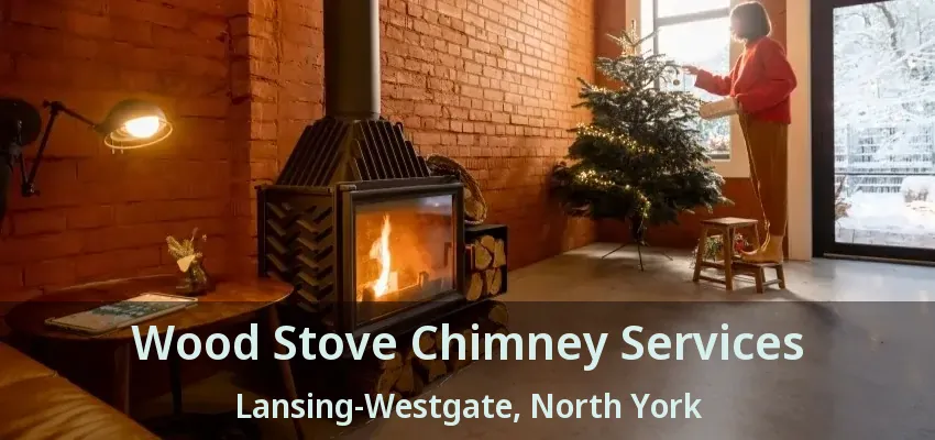 Wood Stove Chimney Services Lansing-Westgate, North York - ON