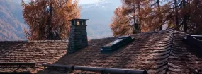 Chimney Animal Removal North York