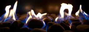 Gas Fireplace Embers York University Heights, North York